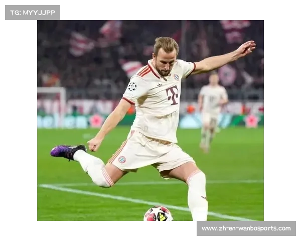 莱因克尔认为凯恩加盟拜仁是追逐冠军的正确选择 莱因克尔认为凯恩加盟拜仁是追逐冠军的正确选择