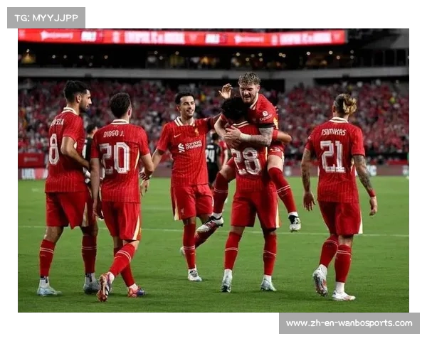 利物浦今夏六名球员合约到期 张伯伦菲尔米诺凯塔成焦点 利物浦今夏六名球员合约到期 张伯伦菲尔米诺凯塔成焦点