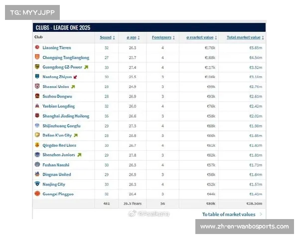 德国转会市场网更新中超球员身价新数据引发关注 德国转会市场网更新中超球员身价新数据引发关注